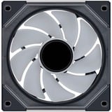 Lian Li G99.12RSLIN1B.00, Sag fan Sort