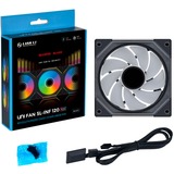 Lian Li G99.12RSLIN1B.00, Sag fan Sort
