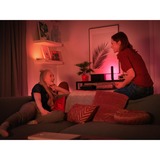 Philips Hue Play light bar 2-pak, LED lys Hvid, Philips Hue White and Color ambiance Play light bar 2-pak, Hvid, Integreret LED, Ikke-udskiftelig pære(r), Hvid, 2000 K, 6500 K