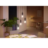Philips Hue White Ambiance filamentlampe E27 A60 550 lm, LED-lampe 