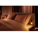 Philips Hue White Ambiance filamentlampe E27 A60 550 lm, LED-lampe 