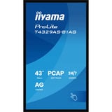 iiyama T4329AS-B1AG, LED-skærm Sort (mat)