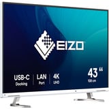 EIZO FlexScan EV4340X-WT computerskærm 108 cm (42.5") 3840 x 2160 pixel 4K Ultra HD LED Hvid, LED-skærm Hvid, 108 cm (42.5"), 3840 x 2160 pixel, 4K Ultra HD, LED, 5 ms, Hvid
