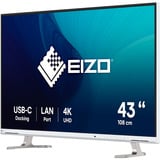 EIZO FlexScan EV4340X-WT computerskærm 108 cm (42.5") 3840 x 2160 pixel 4K Ultra HD LED Hvid, LED-skærm Hvid, 108 cm (42.5"), 3840 x 2160 pixel, 4K Ultra HD, LED, 5 ms, Hvid