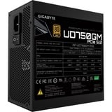 GIGABYTE UD750GM PG5 enhed til strømforsyning 750 W 20+4 pin ATX ATX Sort, PC strømforsyning Sort, 750 W, 100 - 240 V, 12 A, Aktiv, 105 W, 732 W
