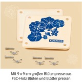 KOSMOS 658175, Eksperiment boks 