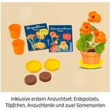 KOSMOS Blomstpresser, Eksperiment boks 