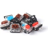 Keychron G50, Key switch Gul/gennemsigtig