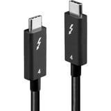 Lindy 31121 Thunderbolt kabel 2 m 40 Gbit/sek. Sort Sort, Hanstik, Hanstik, 2 m, Sort, Nikkel, 40 Gbit/sek.