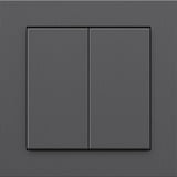 Senic Friends of Hue Smart Switch, Knappen antracit