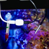 Shelly Temperatursensor DS18B20 