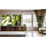 TCL 65T8C, QLED TV Sort