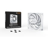 be quiet! Pure Wings 3 120mm PWM high-speed White Computerkabinet Ventilator 12 cm Hvid 1 stk, Sag fan Hvid, Ventilator, 12 cm, 2100 rpm, 101,2 m³/t, Hvid