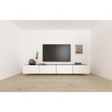 fischer Hulrumsdowel DuoHM 6x55 S TX, Dyvel 