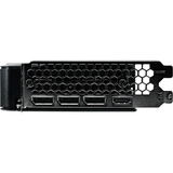 Gainward NE7506TU19T1-GB2061B, Grafikkort 