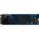 Kingston DC2000B 240 GB, Solid state-drev 