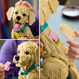 LEGO Ikoner Golden Retriever hvalp, Bygge legetøj 