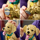 LEGO Ikoner Golden Retriever hvalp, Bygge legetøj 