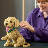 LEGO Ikoner Golden Retriever hvalp, Bygge legetøj 