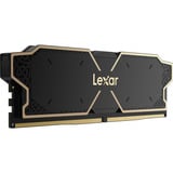 Lexar Hukommelse Sort