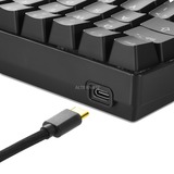 Sharkoon SGK50 S4 tastatur USB QWERTY Portugisisk Sort, Gaming-tastatur Sort, PT-layout, Kalih rød, 60%, USB, QWERTY, RGB LED, Sort
