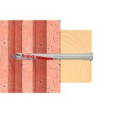 fischer Langskaftpløk DuoXpand 8x100 T, Dyvel Lys grå/Rød