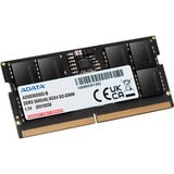 ADATA AD5S56008G-S, Hukommelse Sort