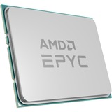 AMD Processor