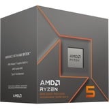 AMD Ryzen™ 5 8500G, Processor boxed