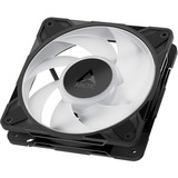 ARCTIC Freezer P12 Pro A-RGB Computerkabinet Ventilator 12 cm Sort, Hvid 3 stk, Sag fan Sort, Ventilator, 12 cm, 131 m³/t, Sort, Hvid