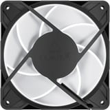 ARCTIC Sag fan Sort