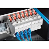 Digitus Keystone kabinet til DIN-skinne montering, IP20, Boliger Hvid