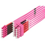 Digitus LWL patchkabel, duplex, LC > SC stik, multimode OM4 lys violet