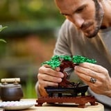 LEGO Creator Expert Bonsaitræ, Bygge legetøj Byggesæt, 18 År, Plast, 878 stk, 764 g