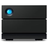 LaCie STHJ40000800, Harddisk Sort