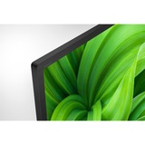 Sony KD32W800 81,3 cm (32") HD Smart TV Wi-Fi Sort, LED-tv Sort, 81,3 cm (32"), 1366 x 768 pixel, LED, Smart TV, Wi-Fi, Sort