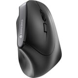 CHERRY MW 4500 mus Kontor Højre hånd RF trådløst Optisk 1200 dpi Sort, Højre hånd, Vertikal design, Optisk, RF trådløst, 1200 dpi, Sort