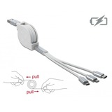 DeLOCK 85850 USB-kabel 0,98 m USB 2.0 USB A USB C/Micro-USB B/Lightning Sølv, Hvid Hvid/Sølv, 0,98 m, USB A, USB C/Micro-USB B/Lightning, USB 2.0, Sølv, Hvid