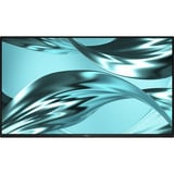Dell Pro P2426HWOST (uden fod), LED-skærm Sort