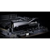 G.Skill F5-8400C4052G24GX2-TZ5CK, Hukommelse Sort