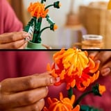 LEGO Botanicals Krysantemum, Bygge legetøj Byggesæt, 18 År, Plast, 278 stk, 360 g