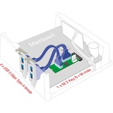 DeLOCK Konverter M.2 Key B+M stik > 4 x USB 5 Gbps Type-A, Interface forlængelse 