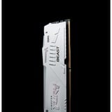 Kingston FURY FURY Beast 64 GB 5600 MT/s DDR5 CL40 DIMM (sæt med 2) White RGB XMP, Hukommelse Hvid, 64 GB, 2 x 32 GB, DDR5, 288-pin DIMM