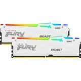 Kingston FURY KF556C40BWAK2-64, Hukommelse Hvid