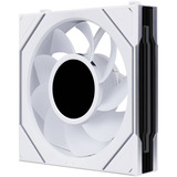 Lian Li G9F.12RSLIND1F3W.00, Sag fan Hvid