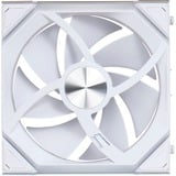 Lian Li LULI-088, Sag fan Hvid