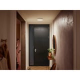 Philips Hue Enrave lille loftslampe, LED lys Hvid, Philips Hue White ambiance Enrave lille loftslampe, Intelligent loftslys, Bluetooth, Hvid, LED, Metal, Ikke-udskiftelig pære(r)