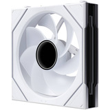 Lian Li UNI FAN SL-INF FLEX 120 Wireless, Sag fan Hvid