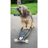 Muuwmi Lights Longboard GLOW ABEC 7 Pablo, Skateboard Sort/Grøn