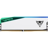 Patriot PVER532G60C42W, Hukommelse Hvid